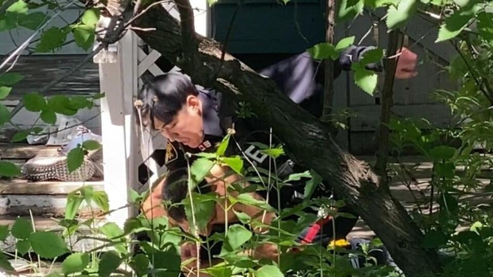 Un policier au-dessus du suspect, le bras en l'air avant de lui assener un coup.