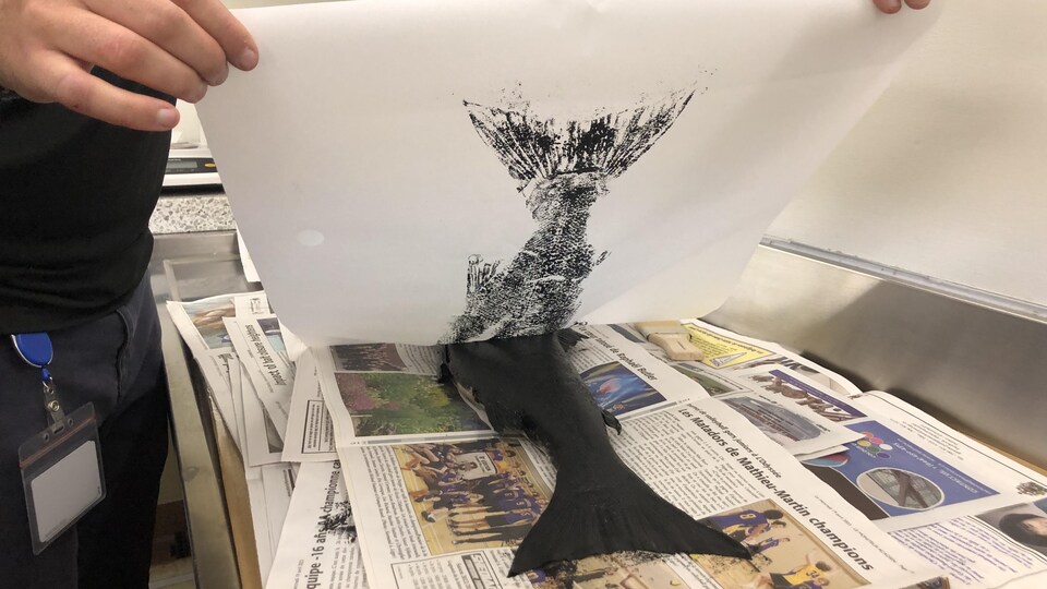 Une feuille de papier se décolle d'un poisson encré qui laisse une trace sur la feuille.