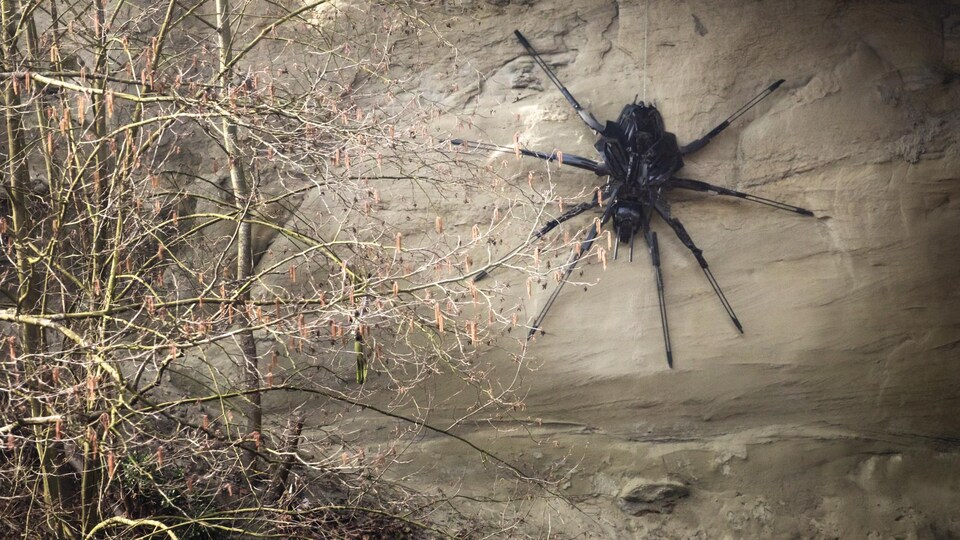 Une grande araignée noire de quelques mètres de long est collée à une formation rocheuse sous un pont. 