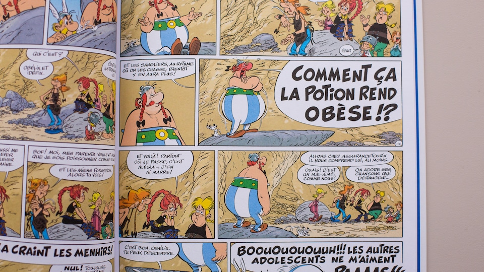 asterix-la-fille-de-vercingetorix-3.jpg