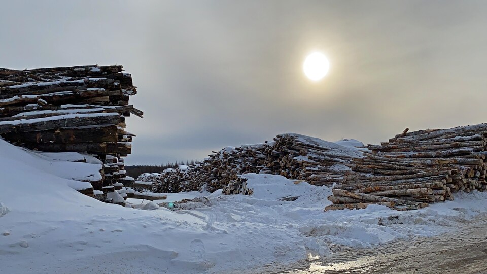 Des piles de bois sous la neige.