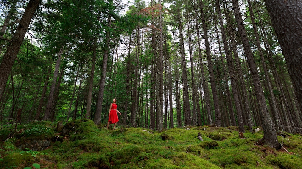 Exemple en couleur d'autoportrait narratif réalisé par Audrée Wilhelmy, écrivaine et photographe, la représentant dans la forêt, en robe rouge.
