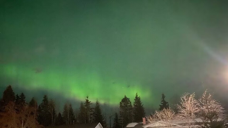 Une aurore boréale verte au-dessus de maisons et d'un forêt.