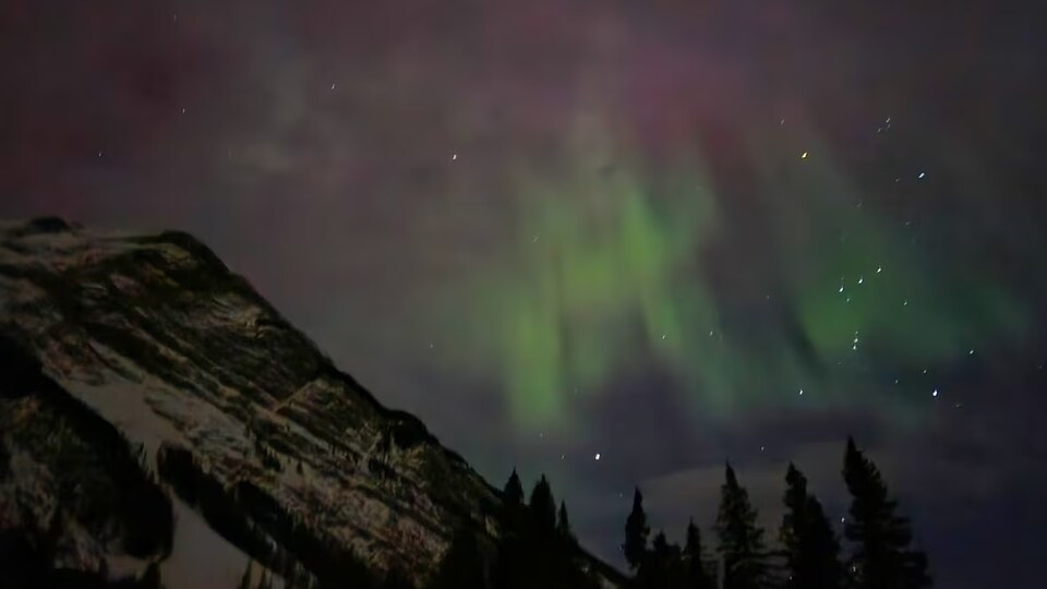 Des aurores boréales dans le ciel nocture au-dessus d'une montagne et quelques arbres.