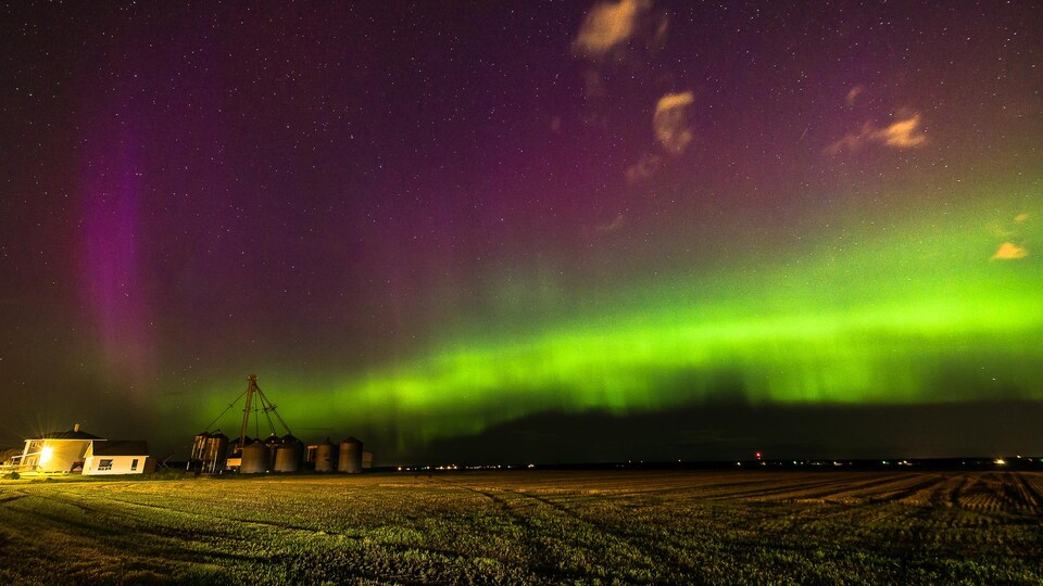 Des aurores boréales vues d'un champ agricole.