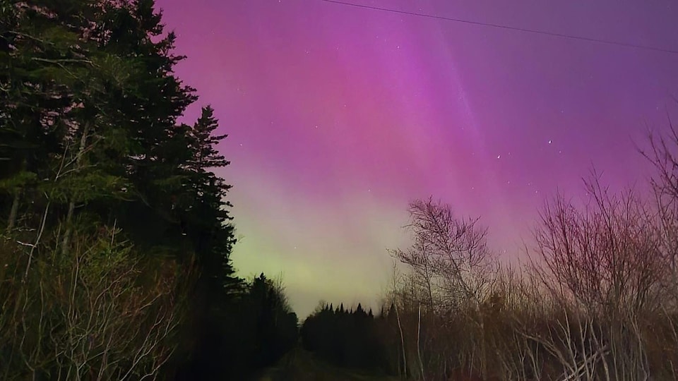 Une photo des aurores boréales du 10 mai 2024, un ciel rempli de couleurs dans une ville néo-brunswickoise. 