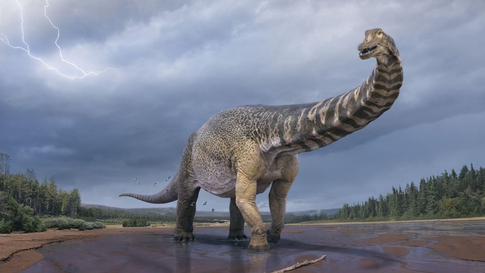 Représentation artistique d'un dinosaure au long cou se tenant au milieu d'une rivière.
