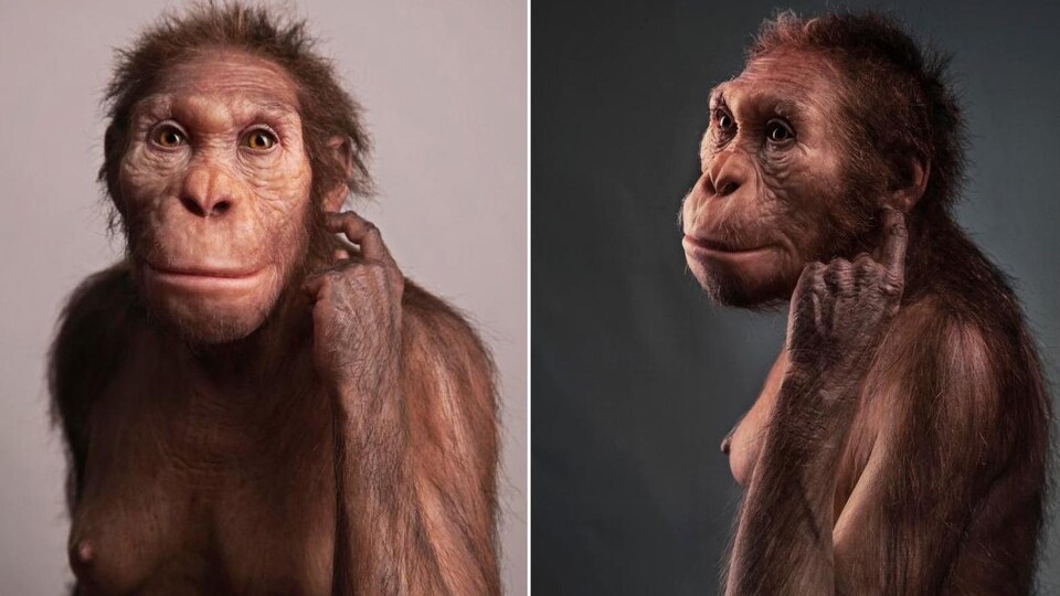 Reconstruction de l'apparence d'Issa.