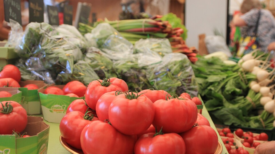 Une dizaine de tomates dans une assiettes, entourée d'autres légumes sur une grande table.