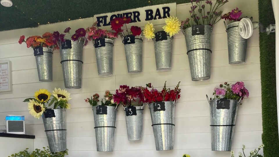 Des pots de fleurs coupées accrochés au mur intérieur de l'autobus.