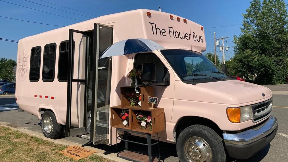 Un autobus rose pâle avec des fleurs coupées à vendre.