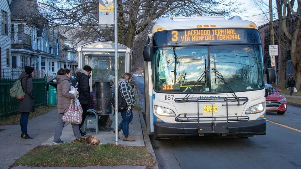Un autobus à un arrêt dans une rue d'Halifax. quatre individus sont sur le point d'embarquer à bord. 