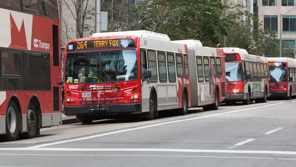Quatre autobus d'OC Transpo dans une rue non précisée d'Ottawa.