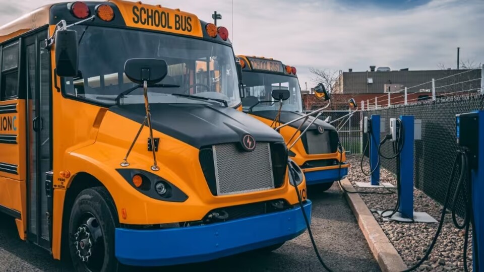 Des autobus scolaires électriques.