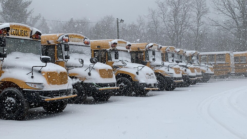 Des autobus scolaires recouverts de neige dans un stationnement.