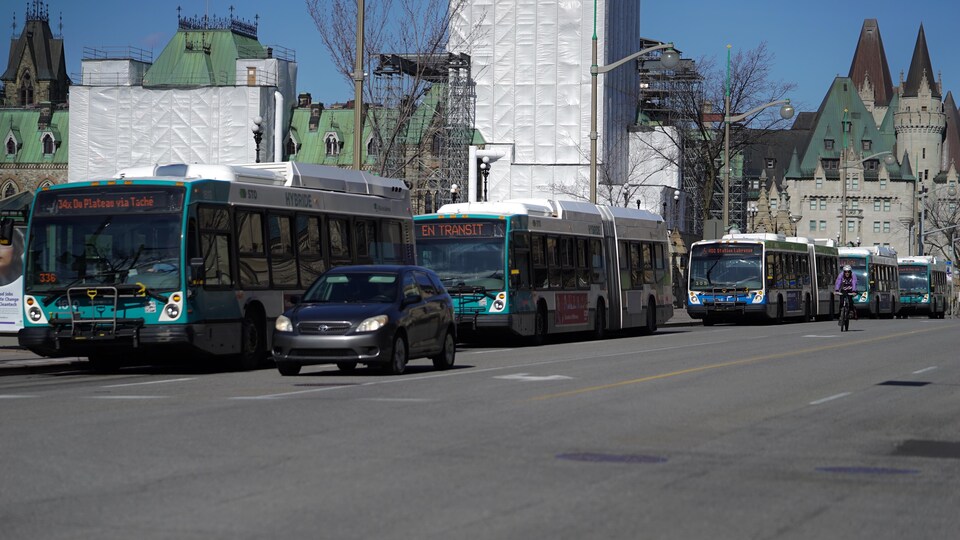 Une file d'autobus de la STO sur la rue Wellington à Ottawa.