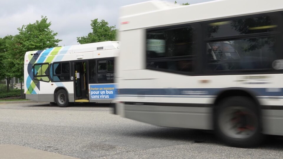 Des autobus de la Société transport de Sherbrooke, dont une est en mouvement.                        