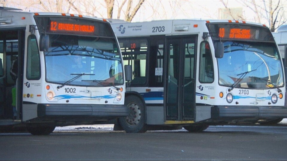 Des autobus de la Société de transport du Saguenay.
