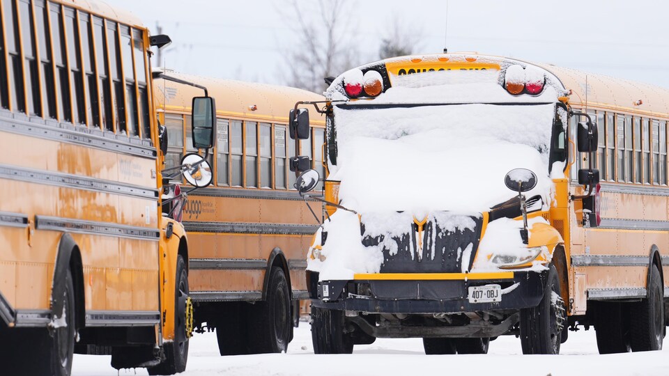 Des autobus couverts de neige.