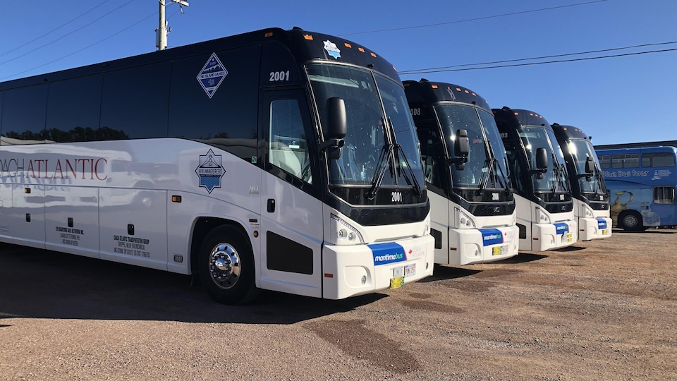 Des bus neufs sont alignés dans le stationnement de l'entreprise Maritime Bus de Charlottetown.