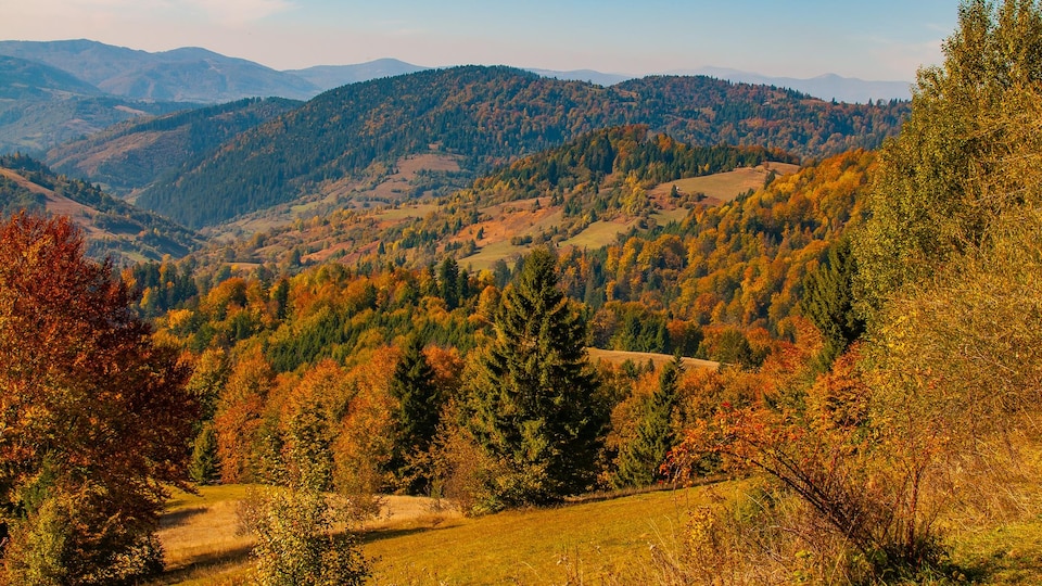 Les Meilleurs Endroits Pour Admirer Les Couleurs D'automne Au Bas-Saint ...