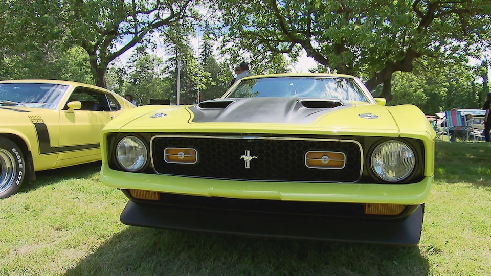 Une Mustang antique présentée au 21e gala annuel du Club des belles autos de Québec.