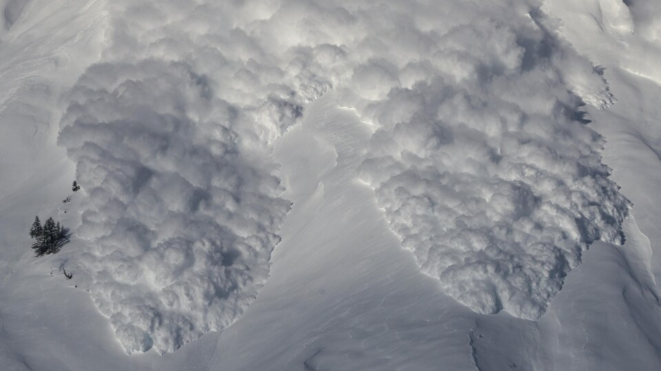 Deux coulées de neige tourbillonnantes déboulent sur un flanc de montagne au manteau de neige autrement impeccable.