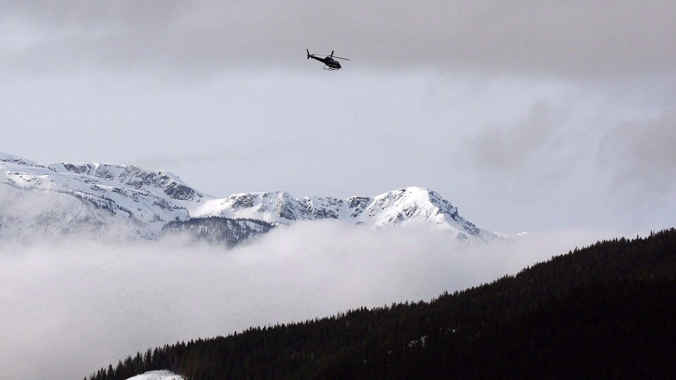 Un hélicoptère survole des montagnes enneigées et des sapins dans une zone à risque d'avalanches près de Revelstoke en Colombie-Britannique.