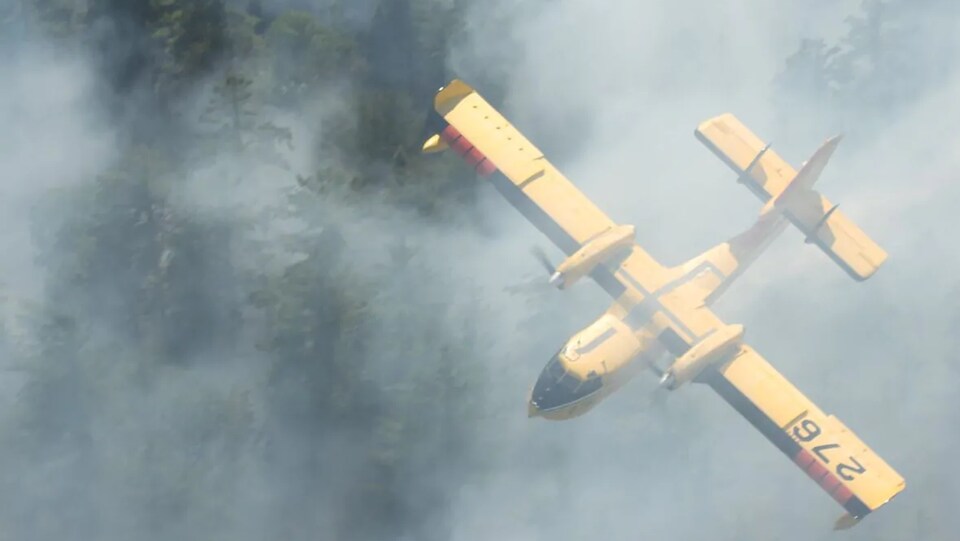 Un avion citerne survolant une forêt dont s'échappe une grande quantité de fumée.