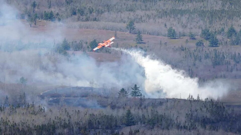 Un avion-citerne largue de l'eau sur un feu de forêt