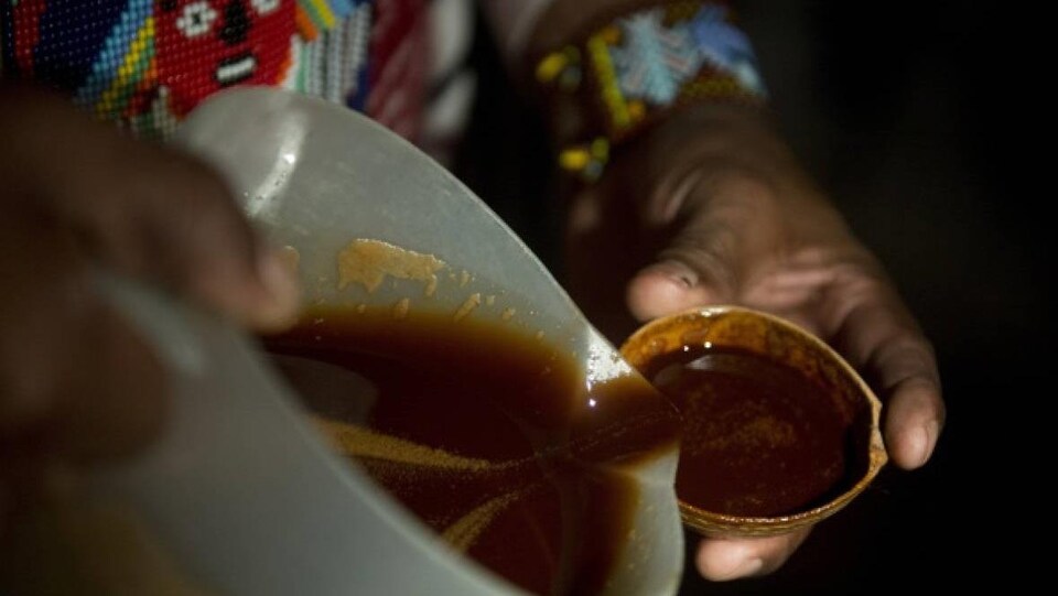 De sa main droite, un guérisseur verse de l'ayahuasca, un liquide brunâtre, dans une petite tasse.
