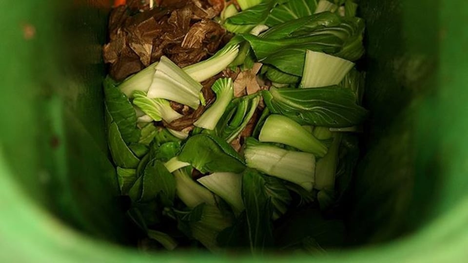 Des légumes dans un bac de compost
