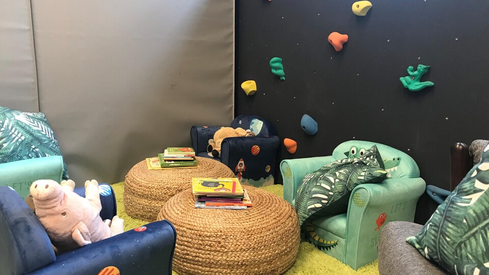 Une aire de jeu avec un tapis, des sofas et des livres. 