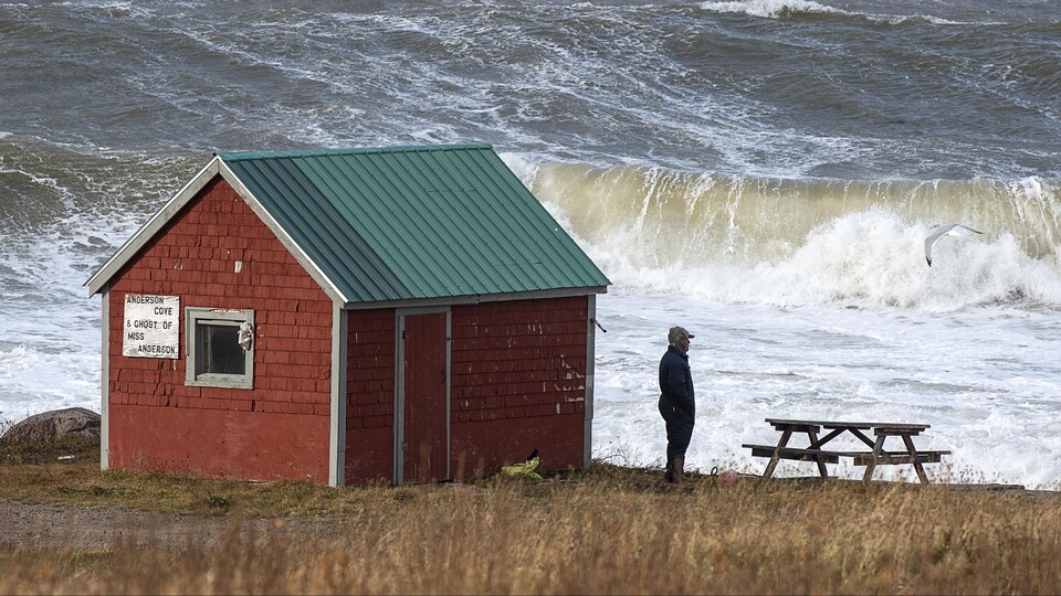Un homme regarde la mer agitée.