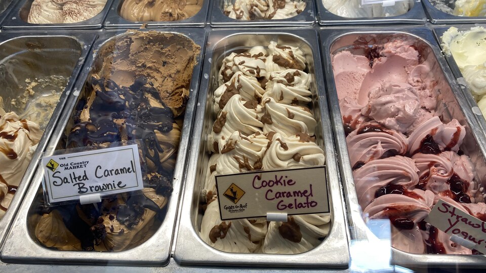 Vitrine d'un glacier avec des bacs à gelatos de différents parfums.