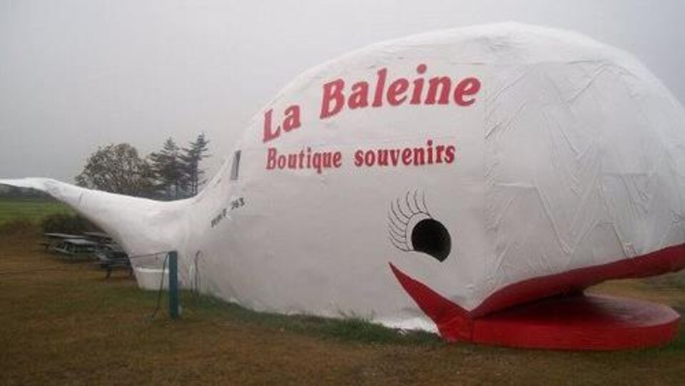 Un magasin en forme de baleine géante
