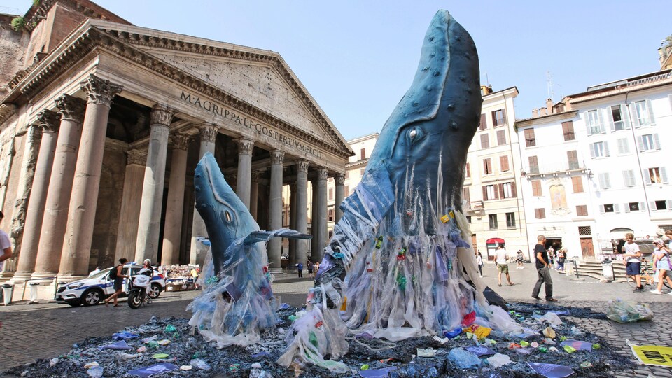 Installation de deux baleines en carton recouvertes de plastique.