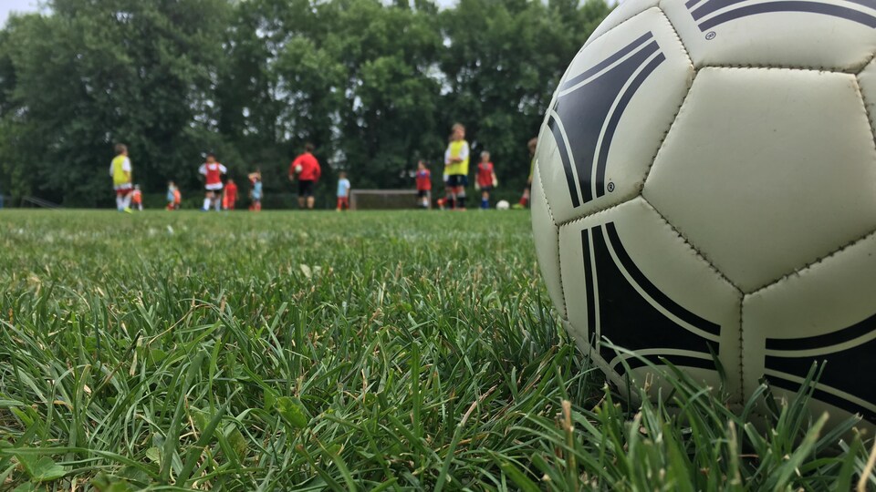 Un ballon de soccer sur un terrain