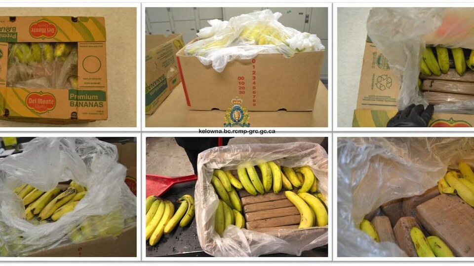 Des boîtes contenant des bananes et de la cocaïne.
