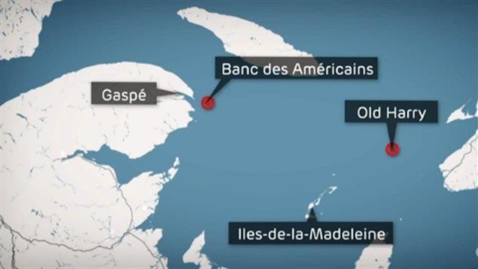 Le Banc des Américains est situé à environ 15 kilomètres de la pointe Saint-Pierre.