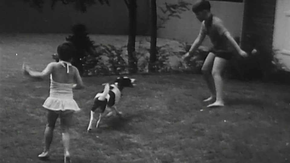 Fillette et garçon qui jouent avec leur chien dans la cour.