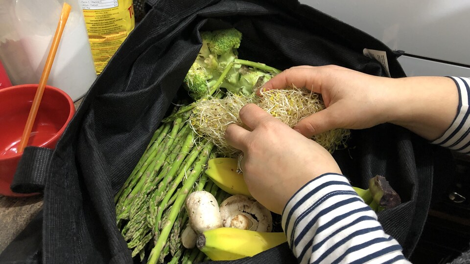 Deux mains qui tiennent de la luzerne au-dessus d'un sac d'épicerie rempli d'asperges, de champignons, de brocoli et de bananes.