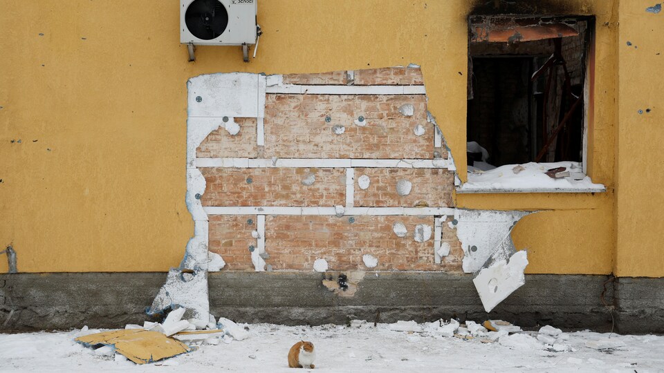 Un chat est assis devant un trou dans le mur d'un immeuble résidentiel que Bansky avait tagué.