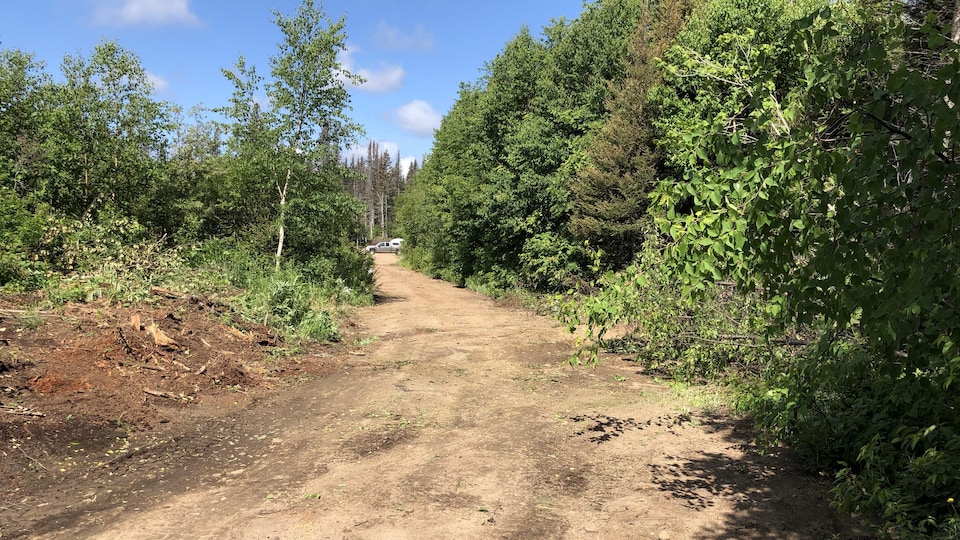 Le chemin d'accès à la rivière Moisie n'est plus bloqué par une barricade.