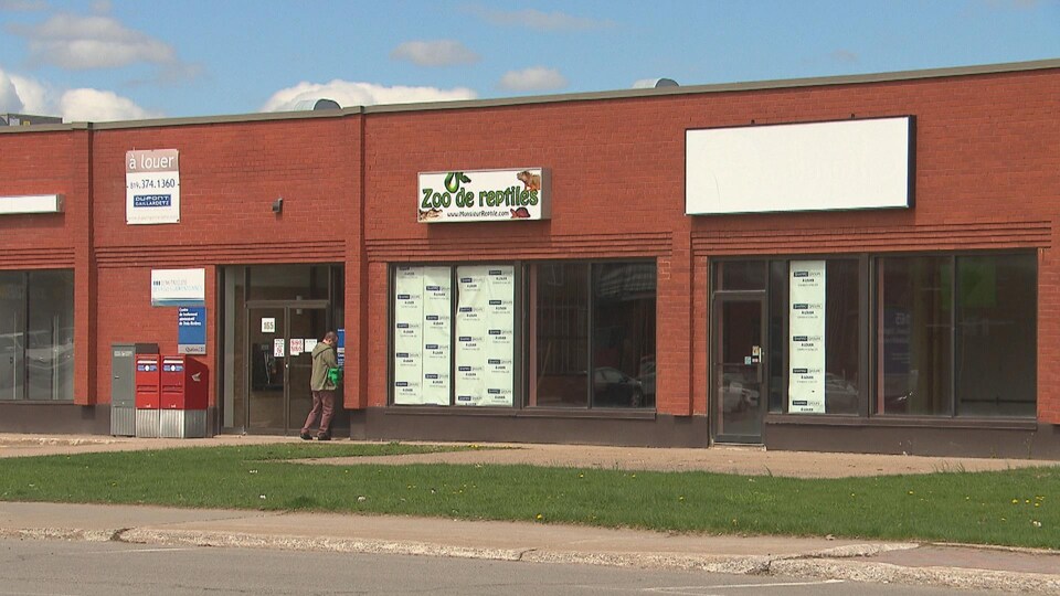 Une façade de commerces où les fenêtres sont placardées. Une affiche «à louer» est installée.