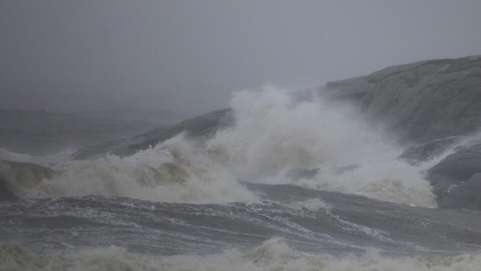 Des vagues viennent se briser sur les rochers.