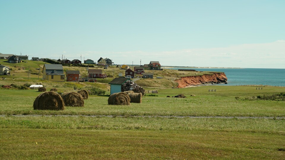 Des maisons, du foin, des falaises rouge des Îles-de-la-Madeleine.