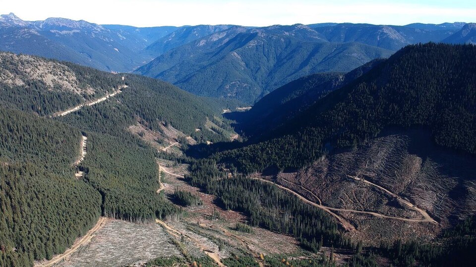 Une vallée avec des secteurs coupés à blanc est entourée de montagnes boisées.