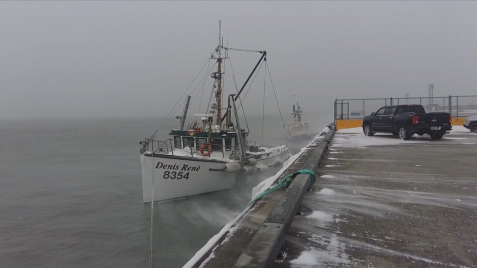 Un bateau de pêche pendant la tempête au port de Rimouski