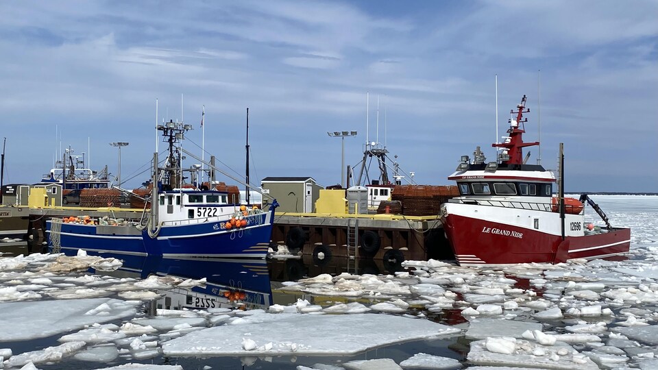 Des bateaux sont à quai à travers les glaces.